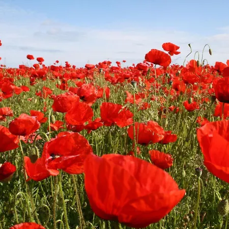 بيت للعطل Auf Dem Land In Strandnaehe *