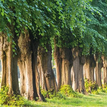 Auf Dem Land In Strandnaehe Diedrichshagen (Kropelin)