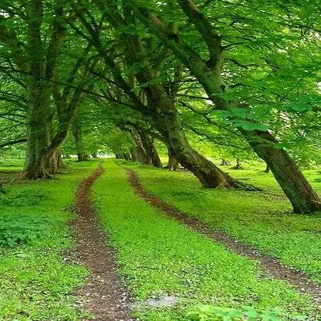 Auf Dem Land In Strandnaehe بيت للعطل *