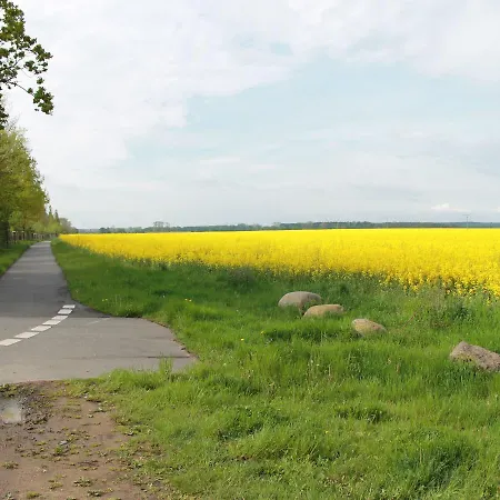 Auf Dem Land In Strandnaehe