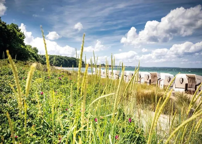 Semesterbostad Auf Dem Land In Strandnaehe *
