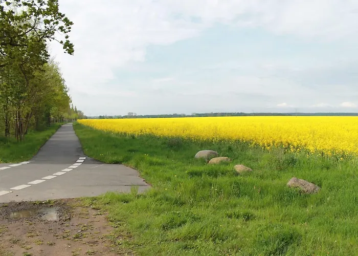 Auf Dem Land In Strandnaehe